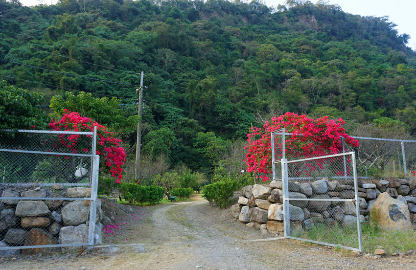 南投景點》周末就醬玩南投一日遊必玩美食.景點.住宿推薦～泰雅渡假村.餘生紀念館.糯米橋.鯉魚潭風景區.樂川櫻田 就這樣玩!