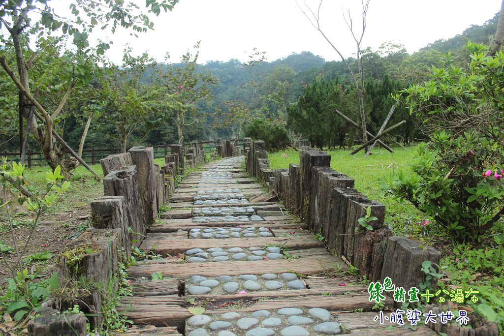 十分瀑布 007 十分瀑布 007