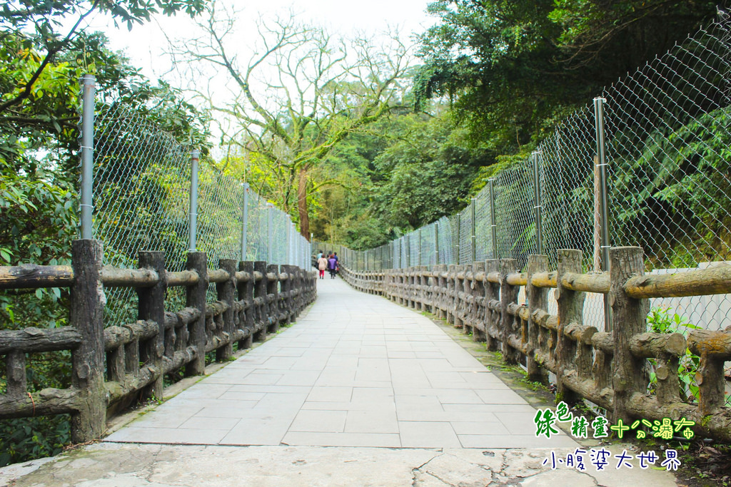 十分瀑布 049 十分瀑布 049