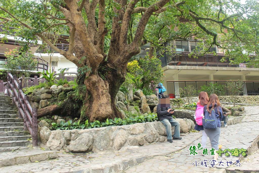 十分瀑布 042 十分瀑布 042