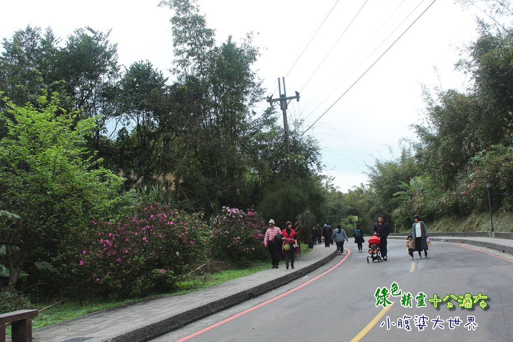 十分瀑布 008 十分瀑布 008