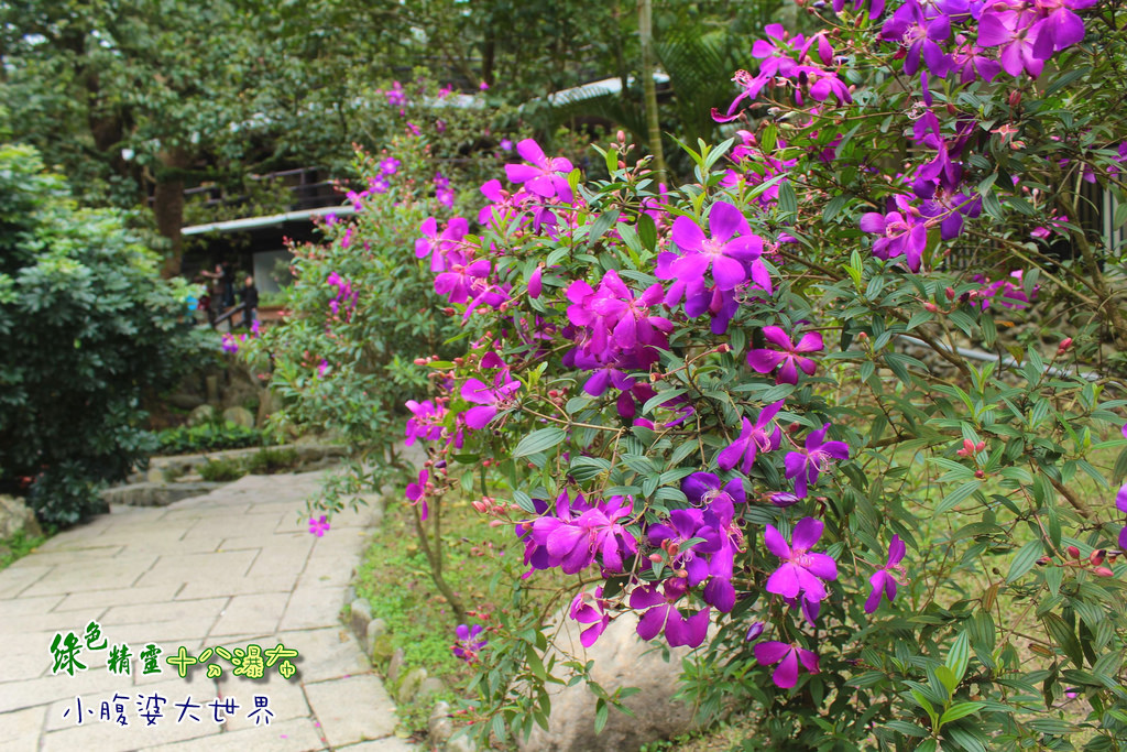 十分瀑布 043 十分瀑布 043