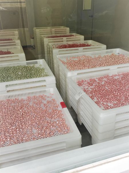 ●嘉義旅遊●卡普秀醫美觀光工廠/民雄/時空膠囊/親子/健康美麗