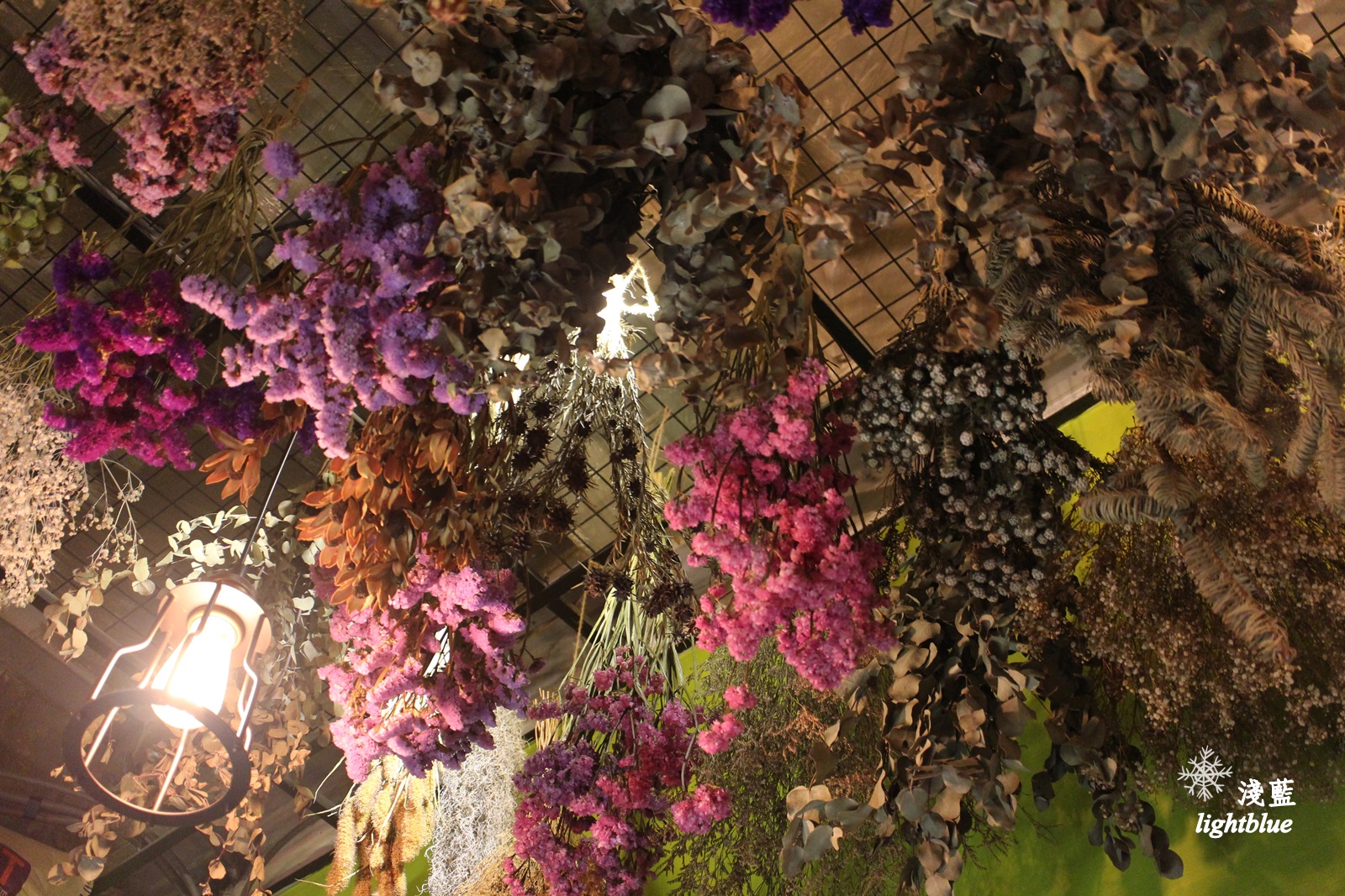 台中美食：淺藍 × 二月森～超好拍！乾燥花海中的甜點店