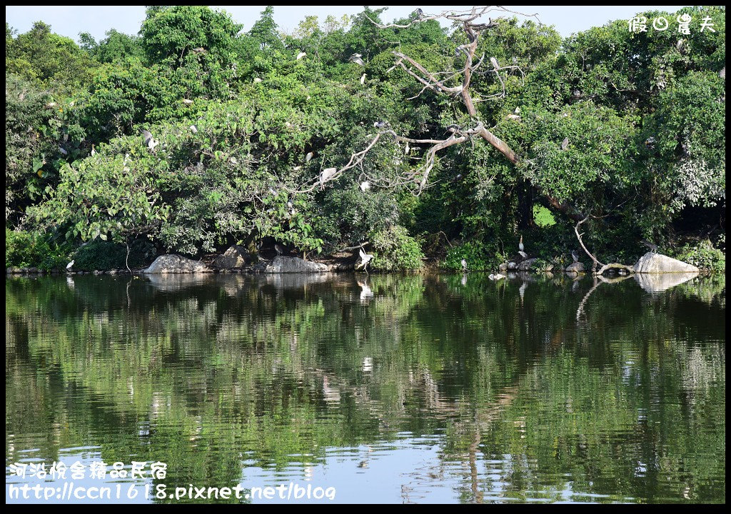 河沿悅舍精品民宿DSC_9281 河沿悅舍精品民宿DSC_9281