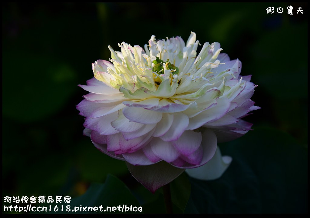 河沿悅舍精品民宿DSC_9295 河沿悅舍精品民宿DSC_9295