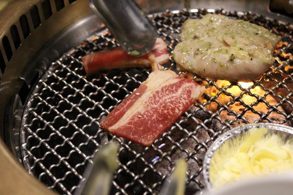 IMG_6068.JPG IMG_6068.JPG