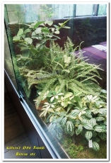 Bistro 181 法國餐廳:桃園龜山法國餐廳.在綠意雅緻的植物餐廳享用新鮮有機健康食材──Bistro 181