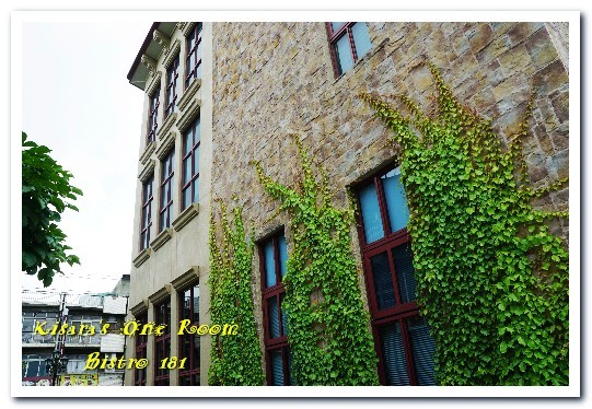 Bistro 181 法國餐廳:桃園龜山法國餐廳.在綠意雅緻的植物餐廳享用新鮮有機健康食材──Bistro 181