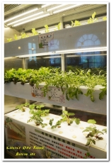 Bistro 181 法國餐廳:桃園龜山法國餐廳.在綠意雅緻的植物餐廳享用新鮮有機健康食材──Bistro 181