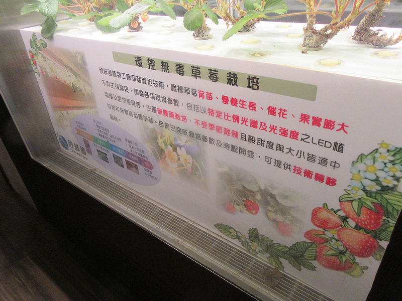 20170212_龜山bistro181 (59)