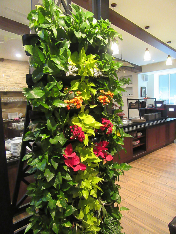 20170212_龜山bistro181 (95)