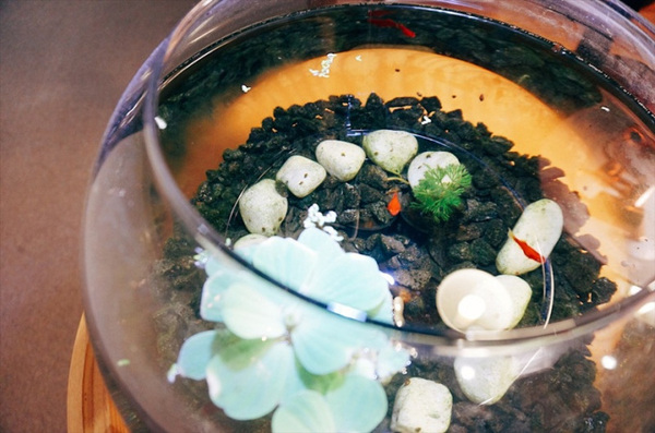 開門茶堂:開門茶堂│沉浸茶香 品味設計 感受生活 │捷運小巨蛋站民生社區│令人驚艷的紅茶生乳達克瓦茲 夢幻級甜點