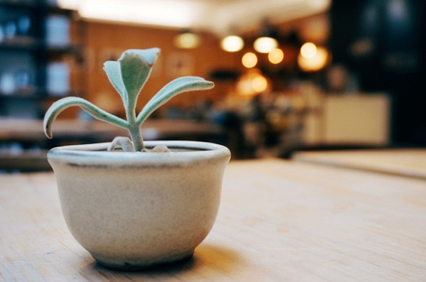 開門茶堂:開門茶堂│沉浸茶香 品味設計 感受生活 │捷運小巨蛋站民生社區│令人驚艷的紅茶生乳達克瓦茲 夢幻級甜點