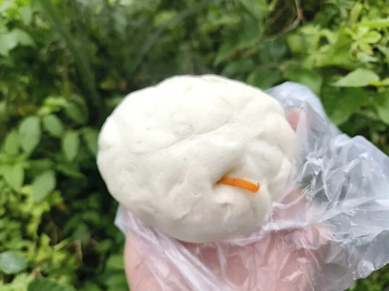 宜蘭縣蘇澳鎮蘇澳無名包子》美津早餐店，必點粉漿蛋餅、現蒸肉包秒殺好好吃