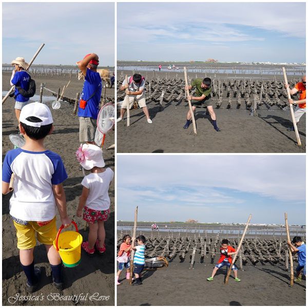 【彰化芳苑】跟著海牛蚵車體驗潮間帶樂趣。海牛驛站