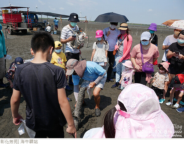 海牛驛站-32.jpg