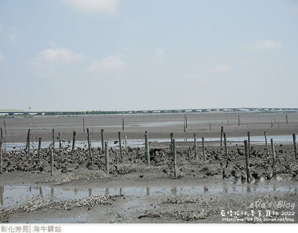 海牛驛站-21.jpg