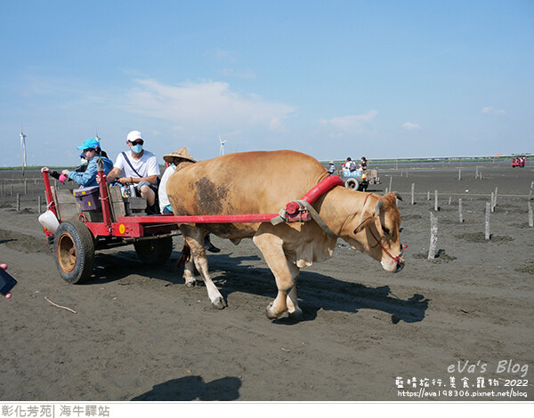 海牛驛站-57.jpg