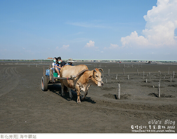 海牛驛站-55.jpg