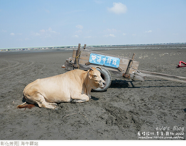 海牛驛站-45.jpg
