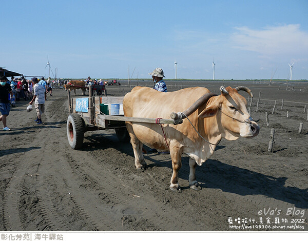 海牛驛站-58.jpg