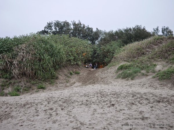 假日之森：【景點】苗栗假日之森白砂海岸@竹南濱海休憩區 : 沒有比基尼辣妹的白沙灘與防風林, 可以悠閒放鬆一整天…