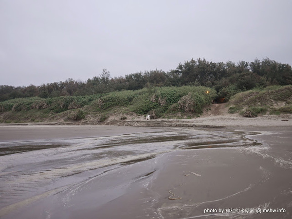 假日之森：【景點】苗栗假日之森白砂海岸@竹南濱海休憩區 : 沒有比基尼辣妹的白沙灘與防風林, 可以悠閒放鬆一整天…