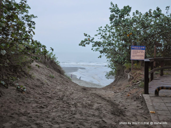 假日之森：【景點】苗栗假日之森白砂海岸@竹南濱海休憩區 : 沒有比基尼辣妹的白沙灘與防風林, 可以悠閒放鬆一整天…