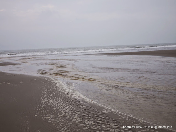 假日之森：【景點】苗栗假日之森白砂海岸@竹南濱海休憩區 : 沒有比基尼辣妹的白沙灘與防風林, 可以悠閒放鬆一整天…