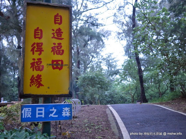 假日之森：【景點】苗栗假日之森白砂海岸@竹南濱海休憩區 : 沒有比基尼辣妹的白沙灘與防風林, 可以悠閒放鬆一整天…