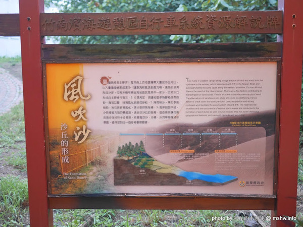 假日之森：【景點】苗栗假日之森白砂海岸@竹南濱海休憩區 : 沒有比基尼辣妹的白沙灘與防風林, 可以悠閒放鬆一整天…