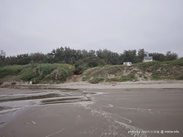 假日之森：【景點】苗栗假日之森白砂海岸@竹南濱海休憩區 : 沒有比基尼辣妹的白沙灘與防風林, 可以悠閒放鬆一整天…
