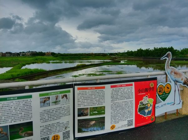 金山清水濕地 金山清水濕地