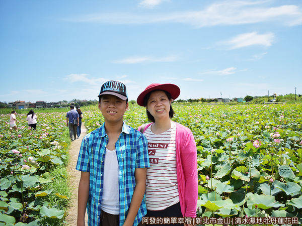 清水濕地牡丹蓮花田14-田梗頗好走.JPG