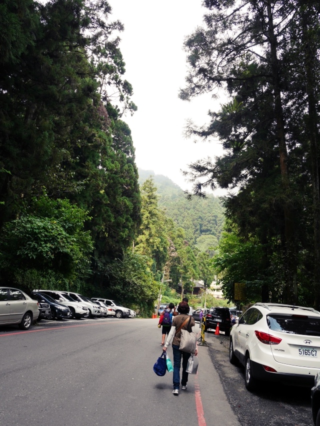 P1090118.JPG P1090118.JPG