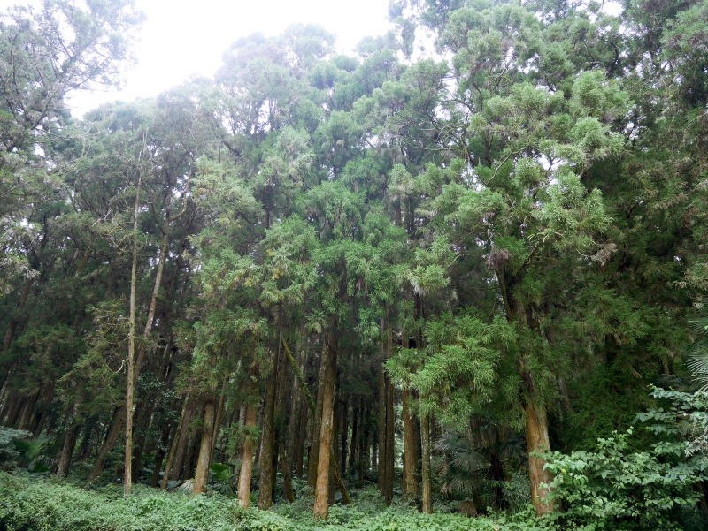 P1090119.JPG P1090119.JPG