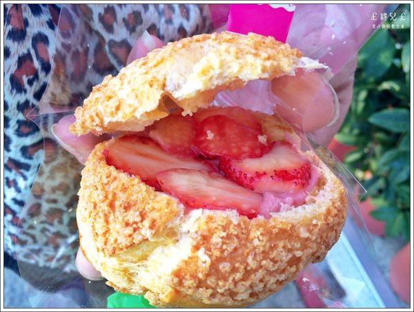 IMG_0673.JPG IMG_0673.JPG