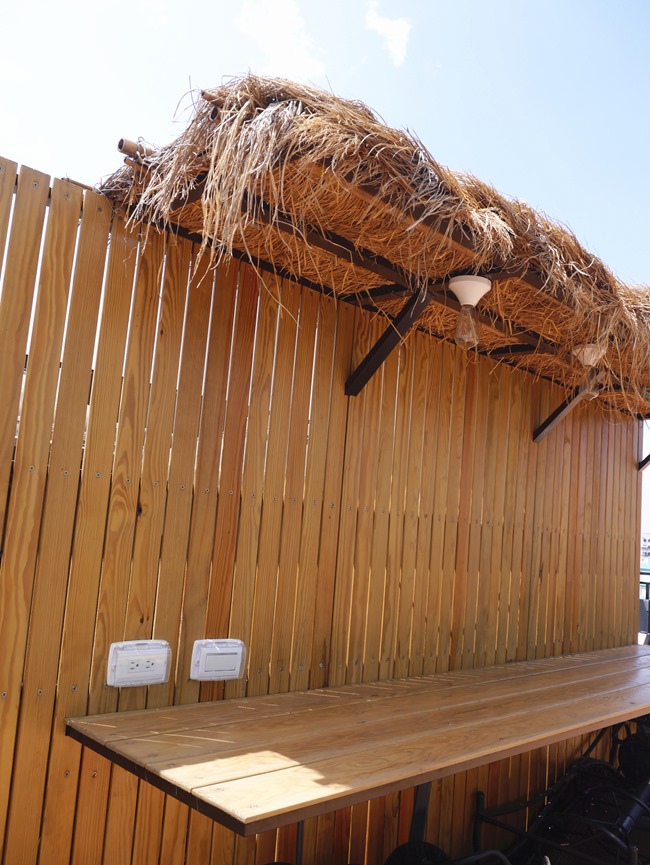 P1230666_副本 P1230666_副本