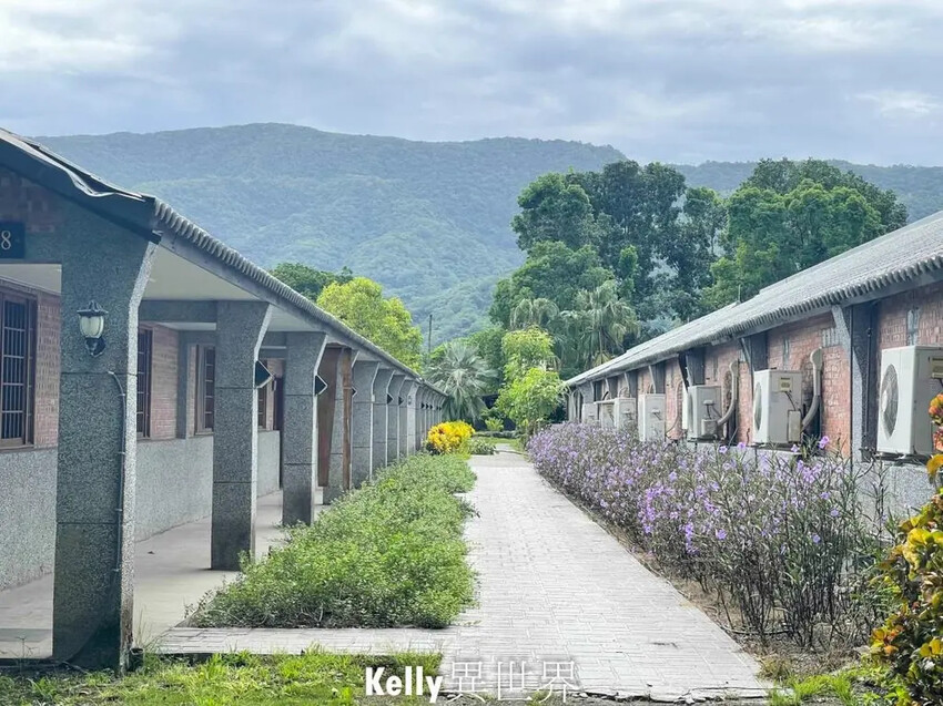 花蓮怡園渡假村推薦！親子友善森林系住宿。
