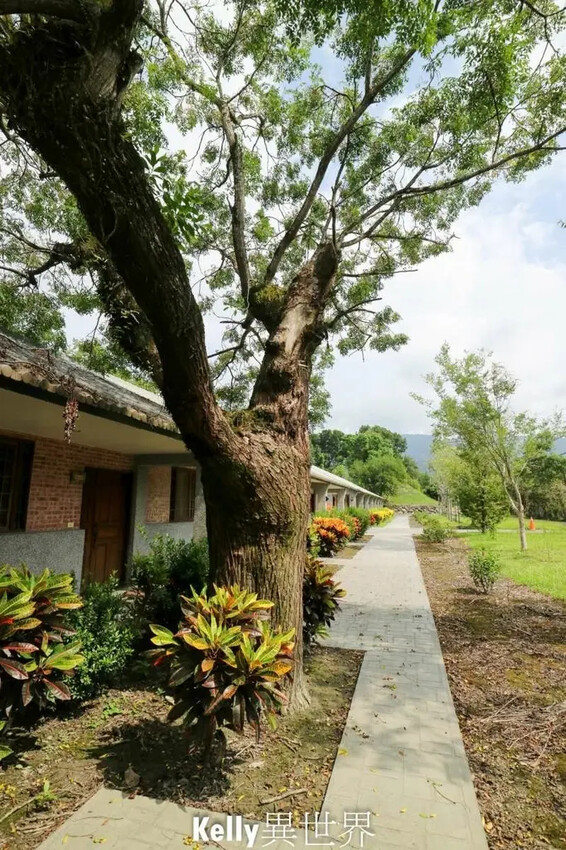 花蓮怡園渡假村推薦！親子友善森林系住宿。