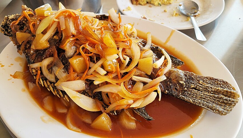 南投縣埔里鎮藏匿在筊白筍田中央的活魚料理，想吃記得先預約！！！