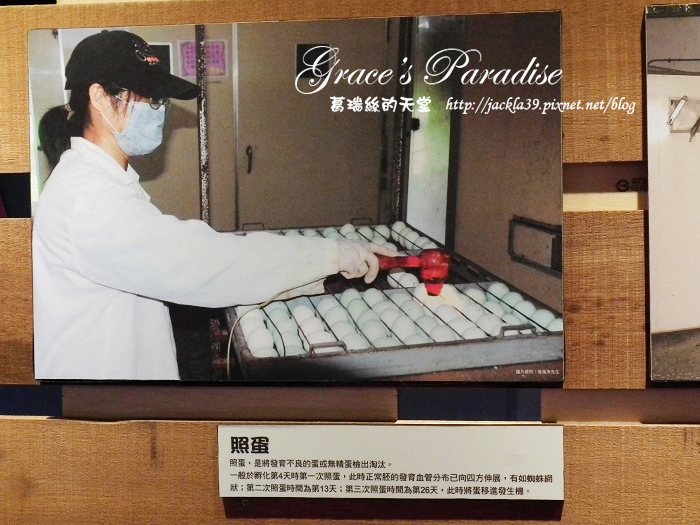 DSCF0071_nEO_IMG.jpg DSCF0071_nEO_IMG.jpg