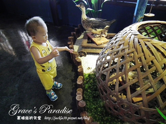 DSCF0299_nEO_IMG.jpg DSCF0299_nEO_IMG.jpg