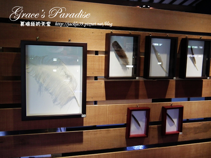 DSCF0063_nEO_IMG.jpg DSCF0063_nEO_IMG.jpg