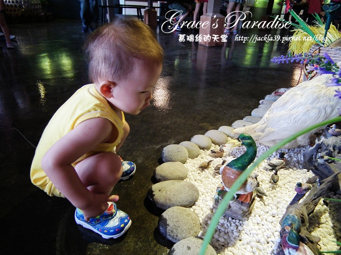 DSCF0289_nEO_IMG.jpg DSCF0289_nEO_IMG.jpg