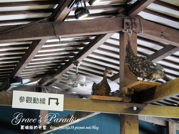 DSCF0054_nEO_IMG.jpg DSCF0054_nEO_IMG.jpg