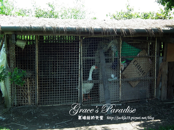 DSCF0085_nEO_IMG.jpg DSCF0085_nEO_IMG.jpg