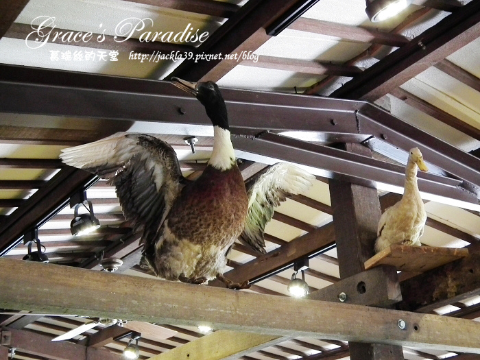 DSCF0051_nEO_IMG.jpg DSCF0051_nEO_IMG.jpg