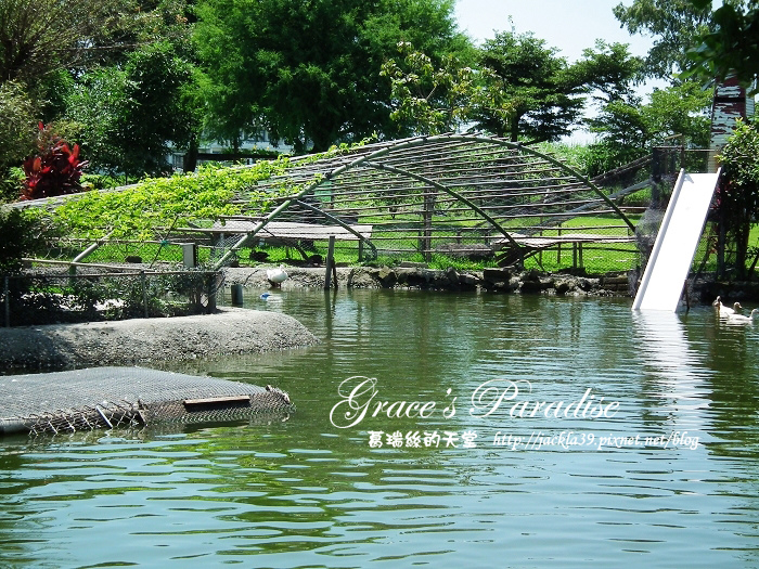 DSCF0082_nEO_IMG.jpg DSCF0082_nEO_IMG.jpg